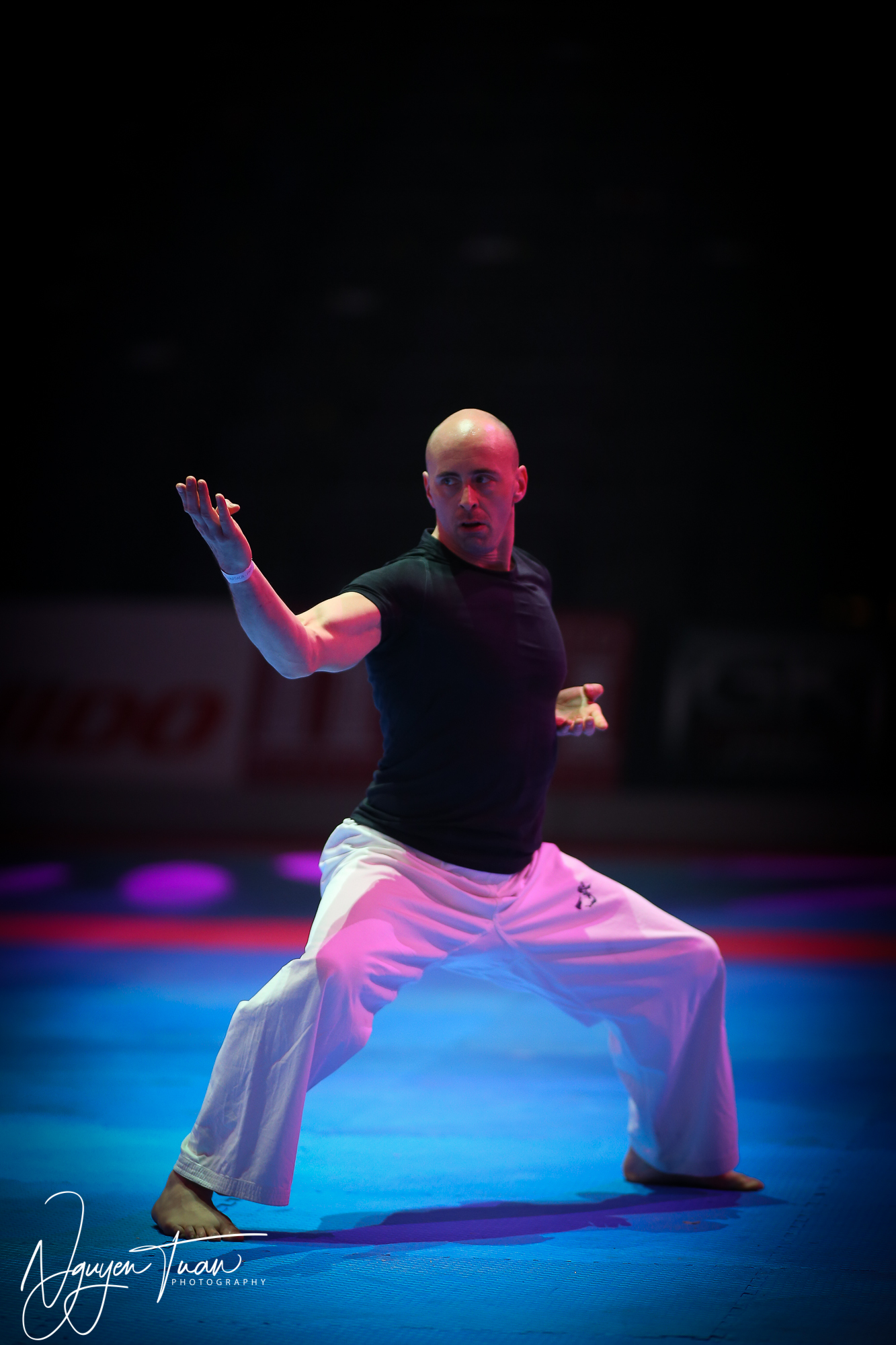 20190324 Festival des Arts Martiaux 0886